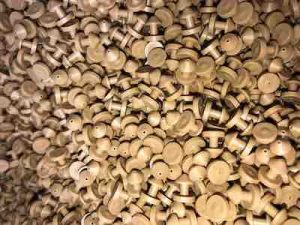 Polyolefin Polyethylene (PE)